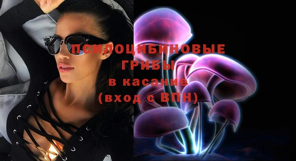 амф Михайловск