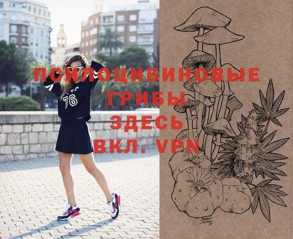 метадон Михайлов
