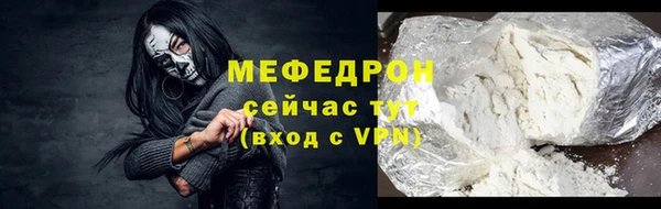 индика Надым