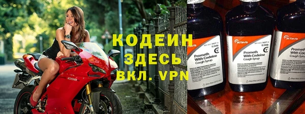 индика Надым