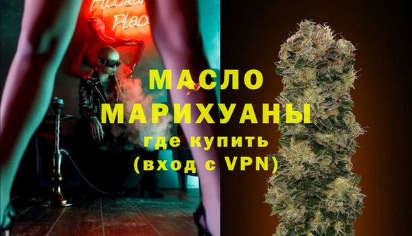 индика Надым