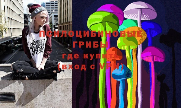 индика Надым