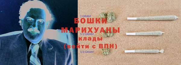 индика Надым