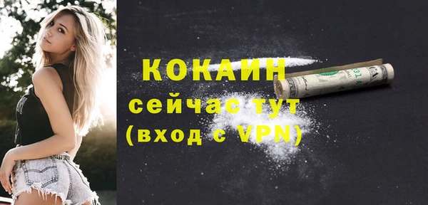 амф Михайловск
